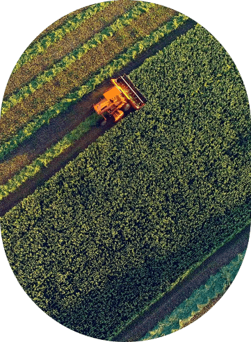 SOP Fertiliser Roundle